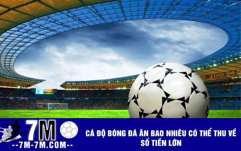 Cá độ bóng đá ăn bao nhiêu có thể thu về số tiền lớn Cá độ bóng đá ăn bao nhiêu có thể thu về số tiền lớn