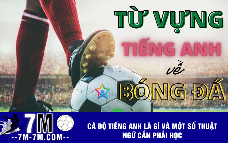 Cá độ tiếng anh là gì và một số thuật ngữ cần phải học Cá độ tiếng anh là gì và một số thuật ngữ cần phải học