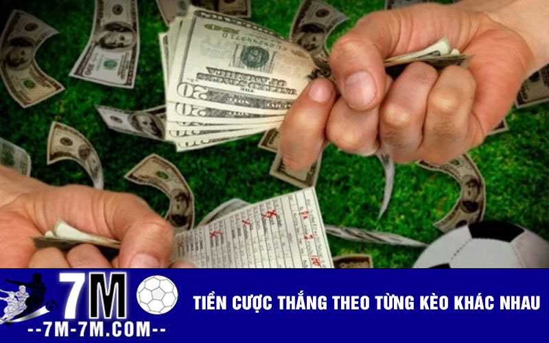 Tiền cược thắng theo từng kèo khác nhau Tiền cược thắng theo từng kèo khác nhau