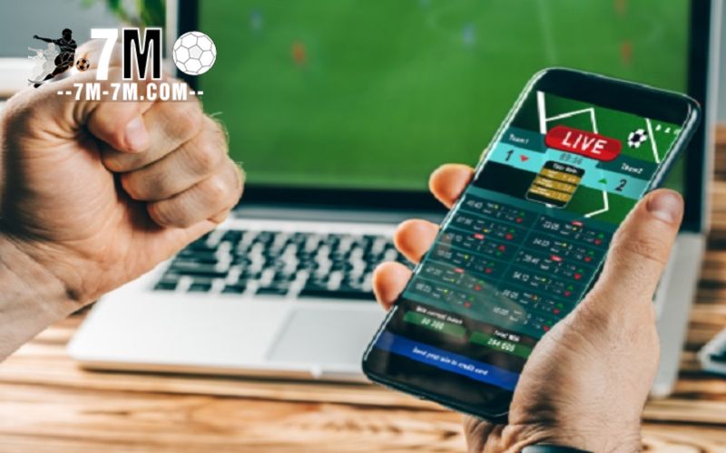 Học hỏi mẹo chơi cá cược đúc kết từ các cao thủ Học hỏi mẹo chơi cá cược đúc kết từ các cao thủ