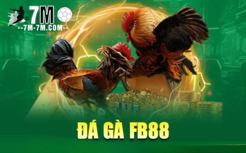 Các loại kèo đá gà phổ biến tại FB88 Các loại kèo đá gà phổ biến tại FB88