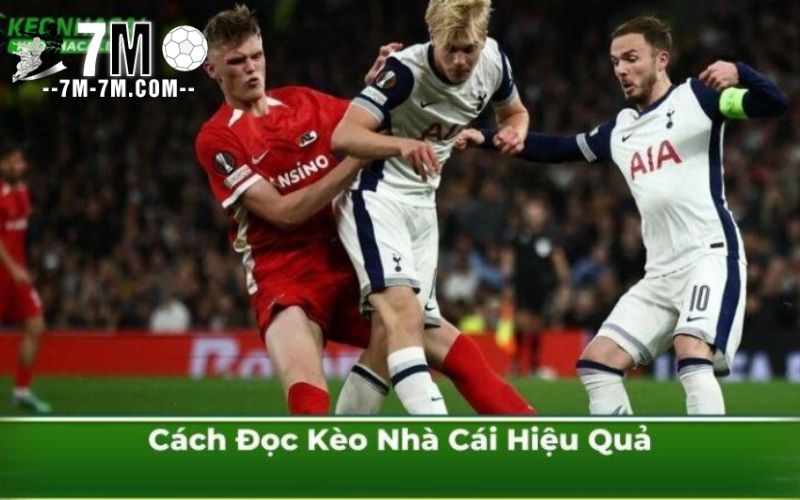 Cách Đọc Kèo Nhà Cái Hiệu Quả Cách Đọc Kèo Nhà Cái Hiệu Quả