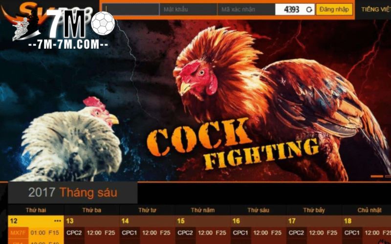 Tổng quát về sân chơi SV388 Tổng quát về sân chơi SV388